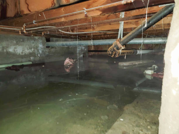 Reliable MD Water damage restoration Solutions