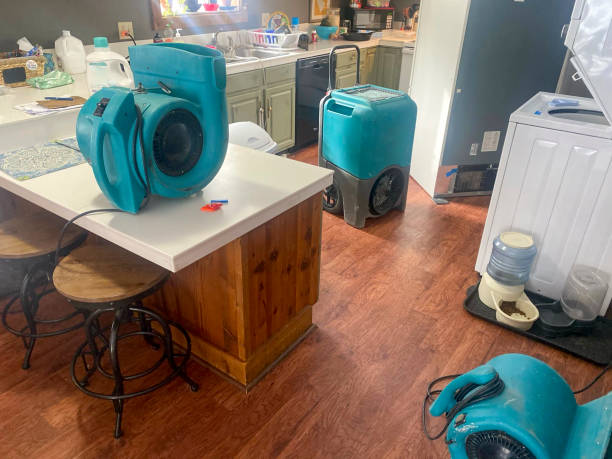 Best Basement water damage restoration  in Ocean Pines, MD