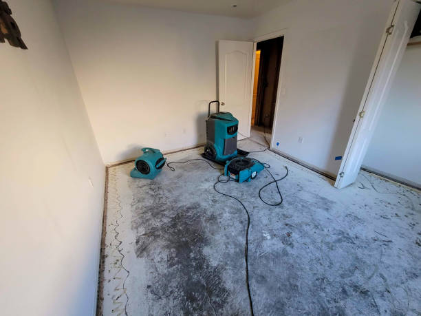  Ocean Pines, MD Water damage restoration Pros