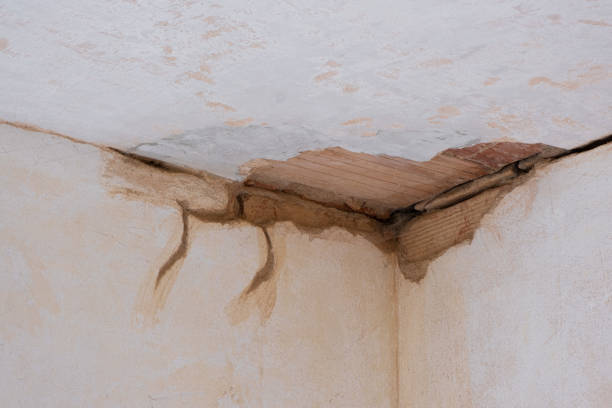 Best Flooded house restoration  in Ocean Pines, MD