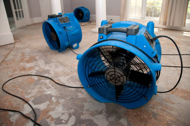 Best 24-hour water damage restoration  in Ocean Pines, MD