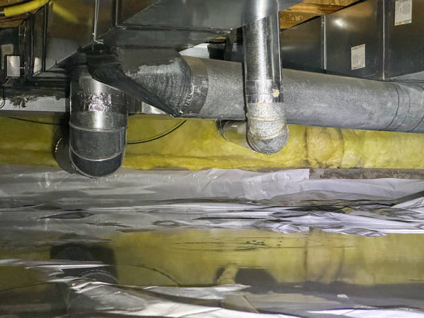 Best Basement water damage restoration  in Ocean Pines, MD