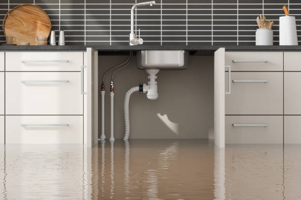 Best 24/7 water damage repair  in Ocean Pines, MD