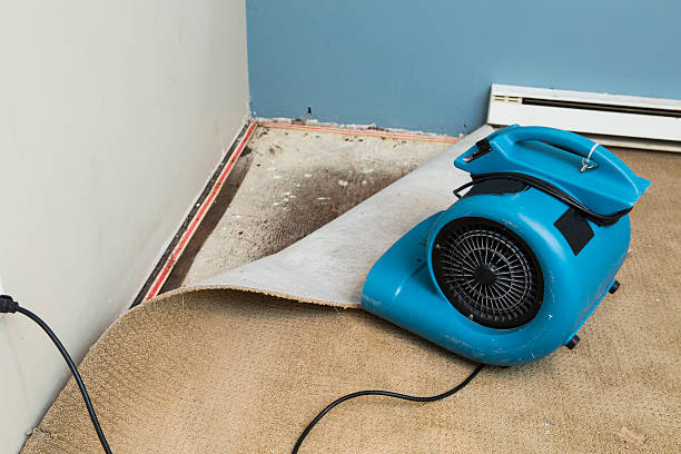 Best Water damage restoration cost  in Ocean Pines, MD